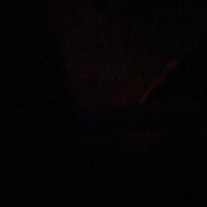 Meet your Posher, Charlie